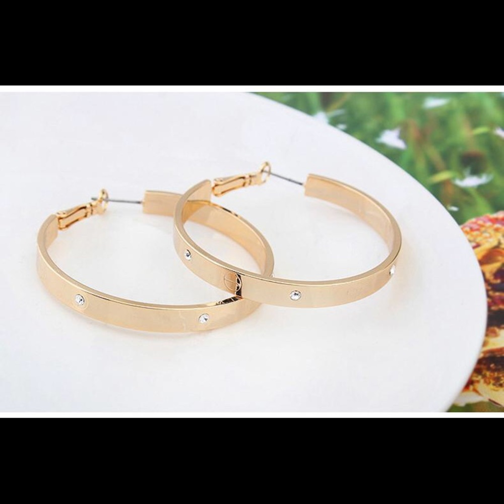 - Hoop Earrings-Designer inspired
